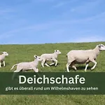 Grashaus30 - Die Luxurioese Ferienwohnung In Whv