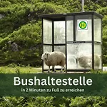 Grashaus30 - Die Luxurioese Ferienwohnung In Whv *