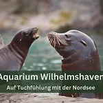 Grashaus30 - Die Luxurioese Ferienwohnung In Whv