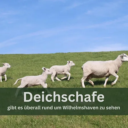 Grashaus30 - Die Luxurioese Ferienwohnung In Whv