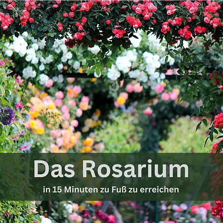 Lägenhet Grashaus30 - Die Luxurioese Ferienwohnung In Whv