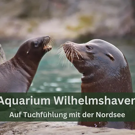 Grashaus30 - Die Luxurioese Ferienwohnung In Whv