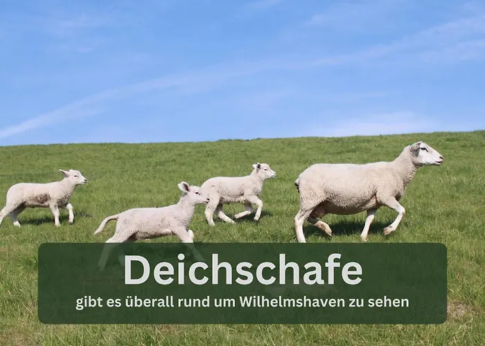 Grashaus30 - Die Luxurioese Ferienwohnung In Whv