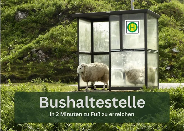 Grashaus30 - Die Luxurioese Ferienwohnung In Whv *