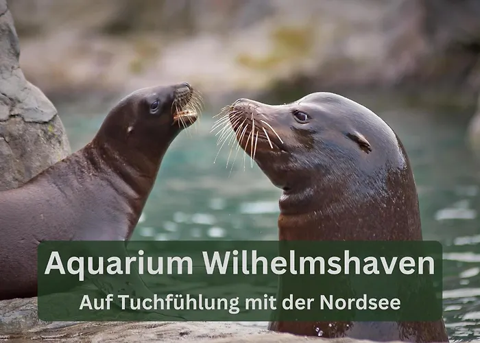 Grashaus30 - Die Luxurioese Ferienwohnung In Whv